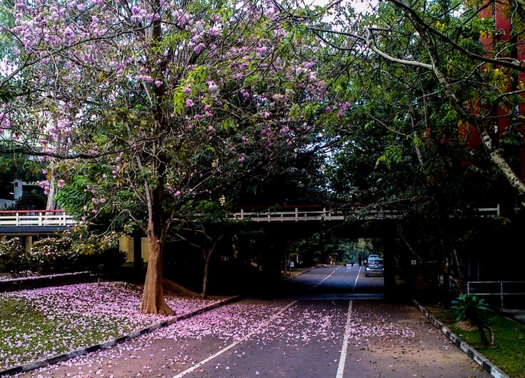 University of Moratuwa